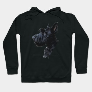 Scottish Terrier Adorable Puppy Dog Hoodie